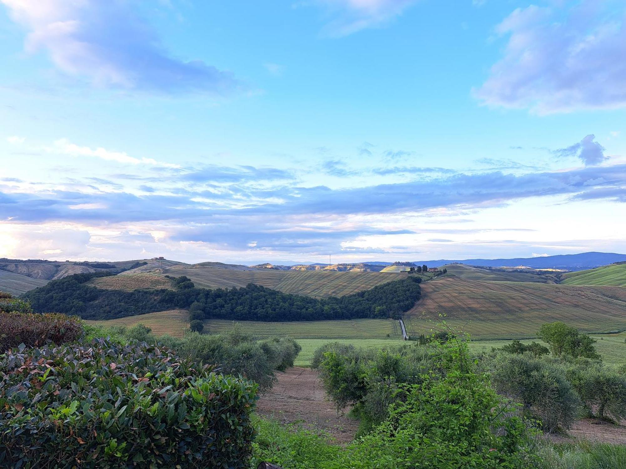 Agriturismo Caliano Asciano Eksteriør bilde