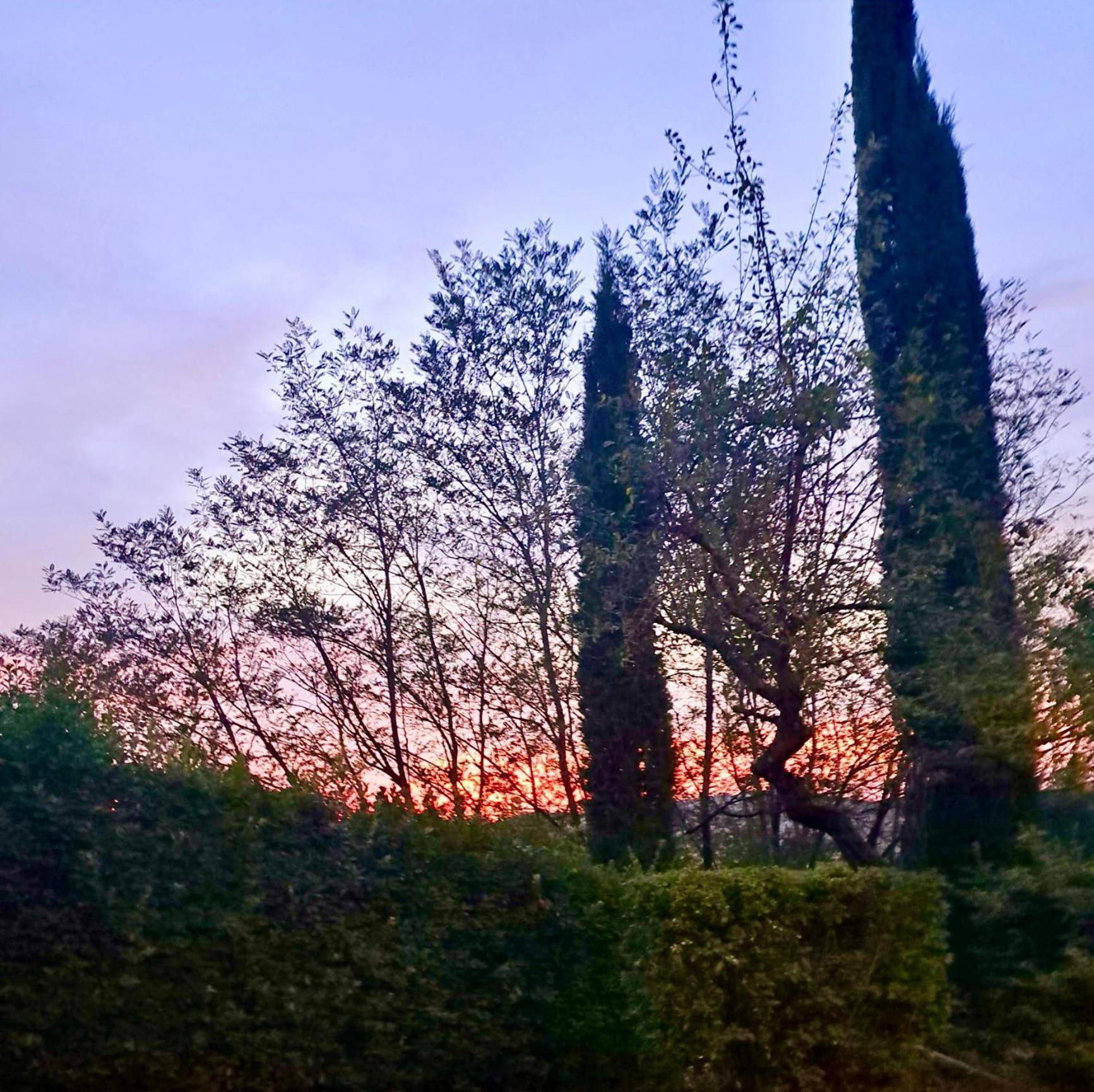 Agriturismo Caliano Asciano Eksteriør bilde